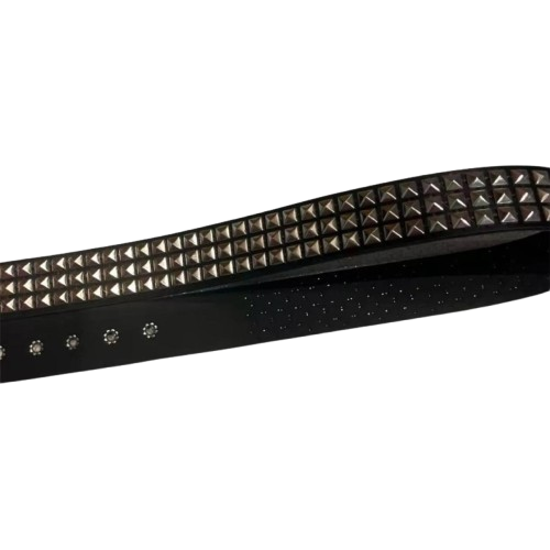 Studded belt
